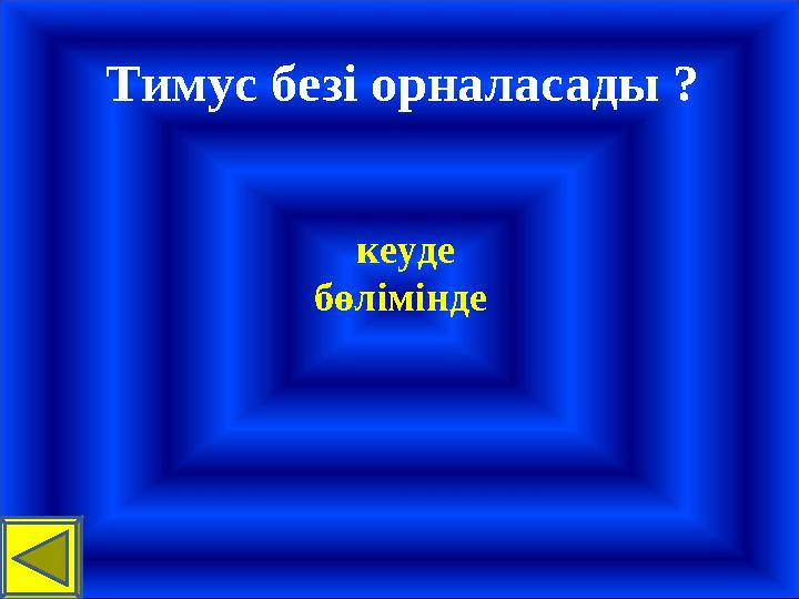 Тимус безі орналасады ? кеуде бөлімінде