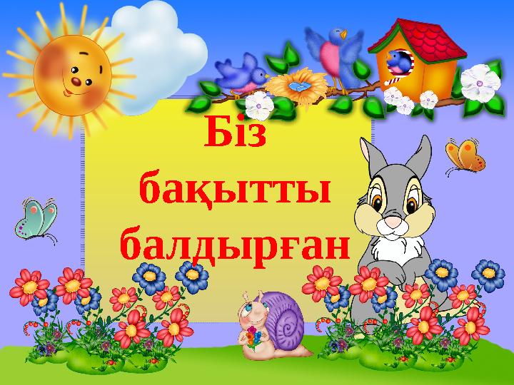 Анамның пабисы