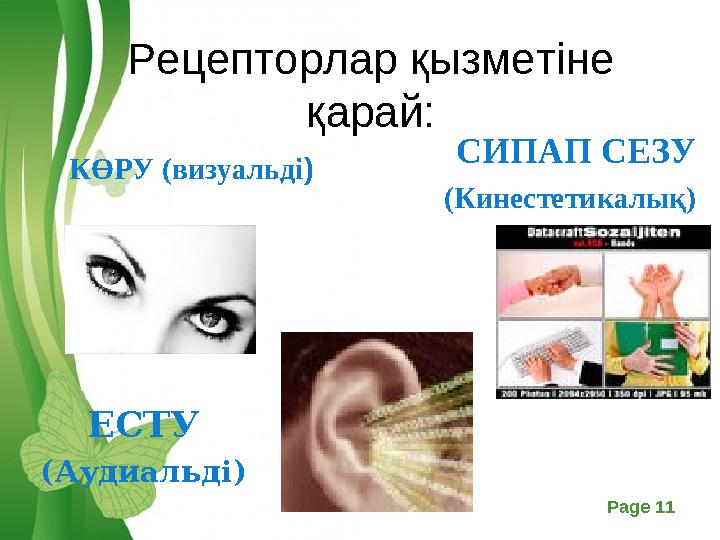 Free Powerpoint Templates Page 11 Рецепторлар қызметіне қарай: КӨРУ (визуальді) ЕСТУ (Аудиальді) СИПАП СЕЗУ (Кинестетикалық)