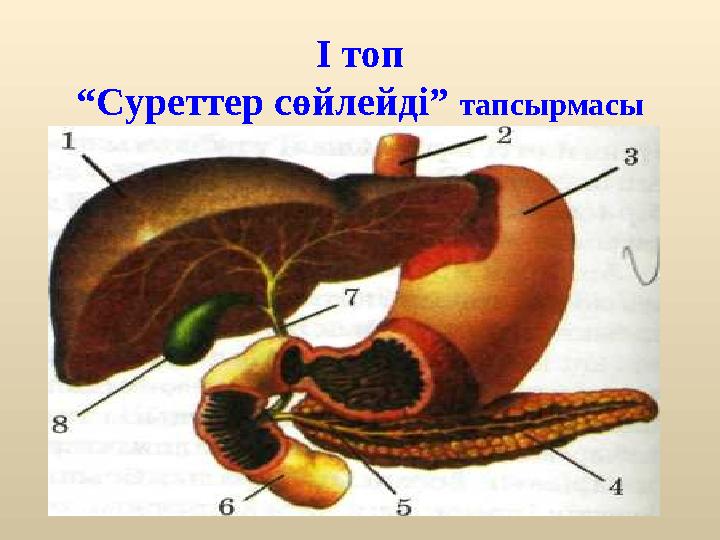 І топ “ Суреттер сөйлейді” тапсырмасы