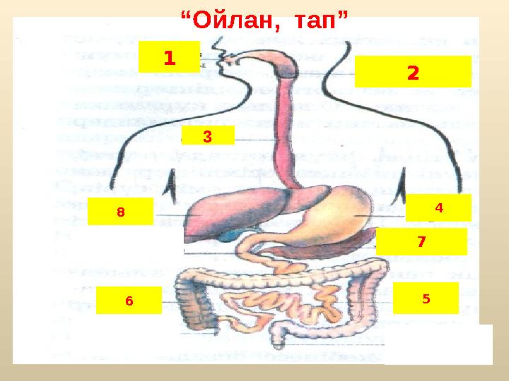 1 2 3 4 5 6 78 “ Ойлан, тап”