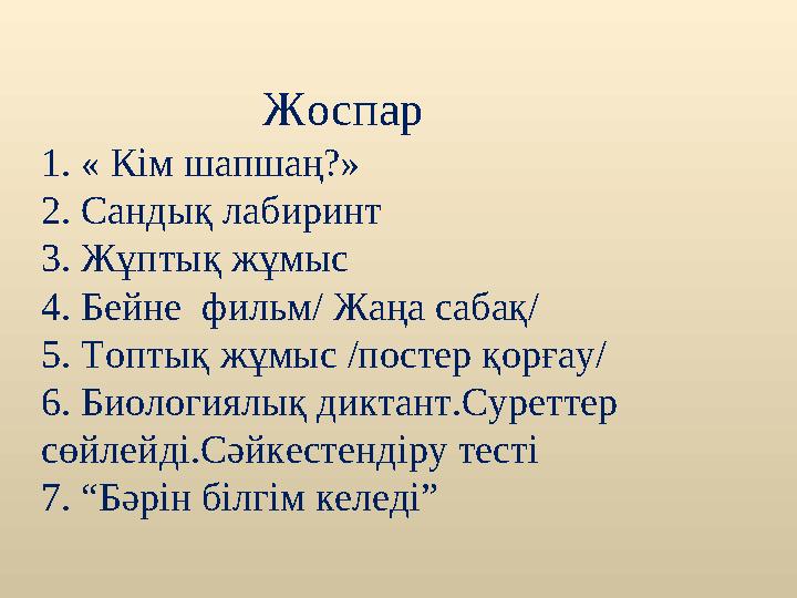 Жоспар 1. « Кім шапшаң?» 2. Сандық лабиринт 3. Жұптық жұмыс 4. Бейне фильм/ Жаңа сабақ/ 5. Топт