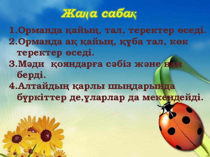 1.Орманда қайың, тал, теректер өседі. 2.Орманда ақ қайың, құба тал, көк теректер өседі. 3.Мәди қояндарға сәбіз және нан берді
