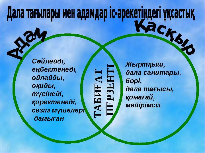 Т А Б И Ғ А Т П Е Р З Е Н Т І Сөйлейді, еңбектенеді, ойлайды, оқиды, түсінеді, қоректенеді, сезім мүшелері дамыған Жыртқыш,