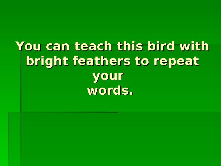 You can teach this bird with You can teach this bird with bright feathers to repeat bright feathers to repeat your your w