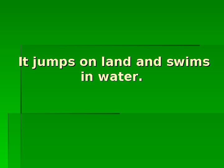 It jumps on land and swims It jumps on land and swims in water.in water.