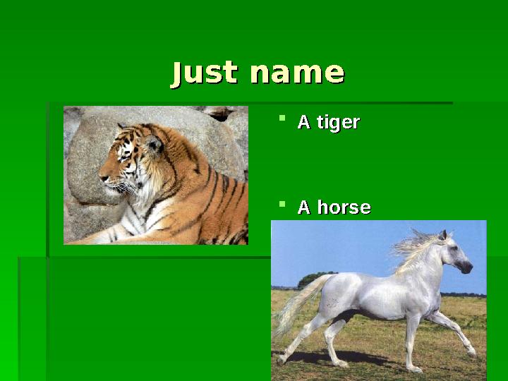 JJust nameust name A tigerA tiger A horseA horse