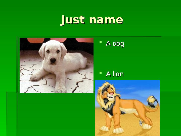 Just nameJust name A dogA dog A lionA lion