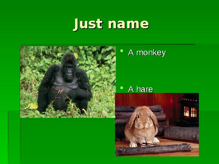Just nameJust name A monkeyA monkey A hareA hare