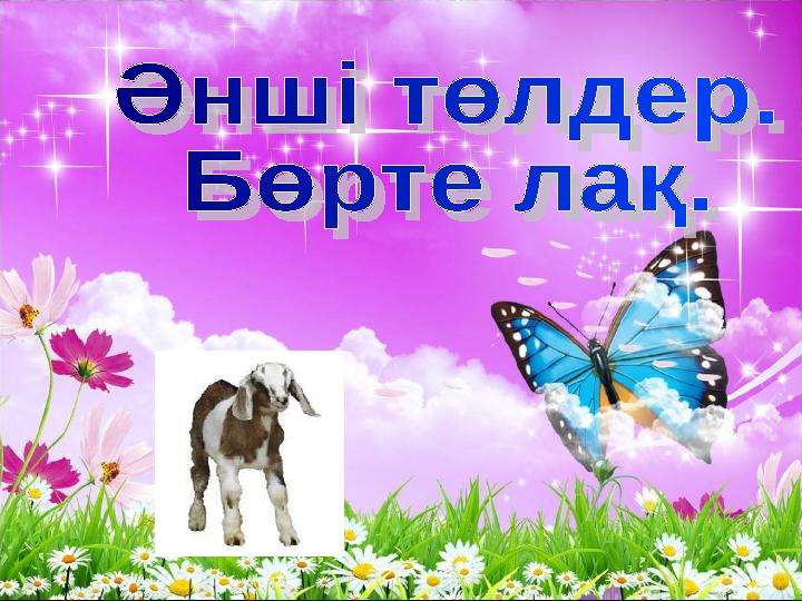 Желіде порно жеу Майлы сиськи порно