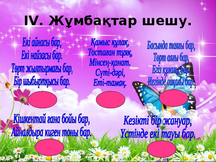 ІV. Жұмбақтар шешу. сиыр жылқы ешкі қой түйе