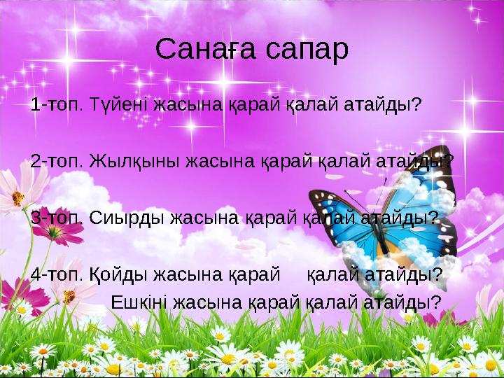 Санаға сапар 1-топ. Түйені жасына қарай қалай атайды? 2-топ. Жылқыны жасына қарай қалай атайды? 3-топ. Сиырды жасына қарай қалай