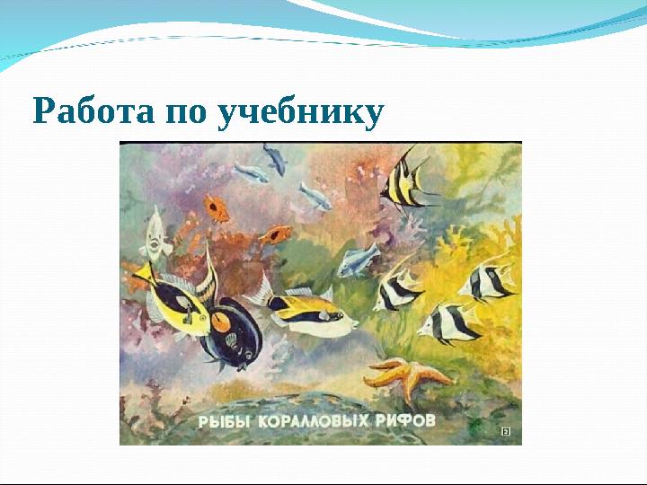Работа по учебнику