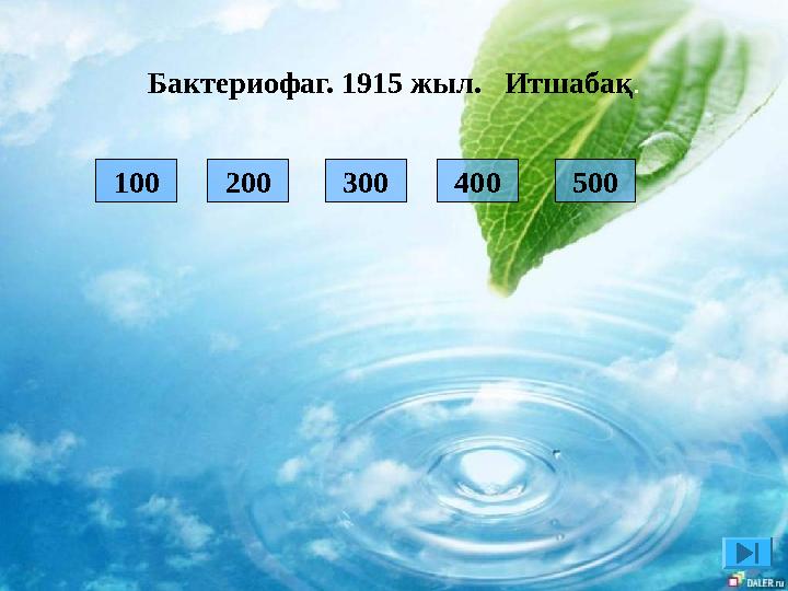 Бактериофаг. 1915 жыл. Итшабақ. 200 300 400 500 100