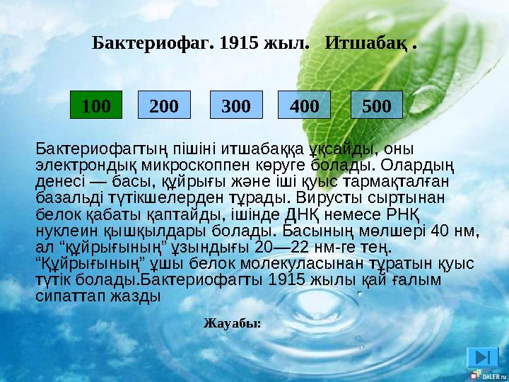 200 300 400 500100 Жауабы: Бактериофагтың пішіні итшабаққа ұқсайды, оны электрондық микроскоппен көруге болады. Олардың ден