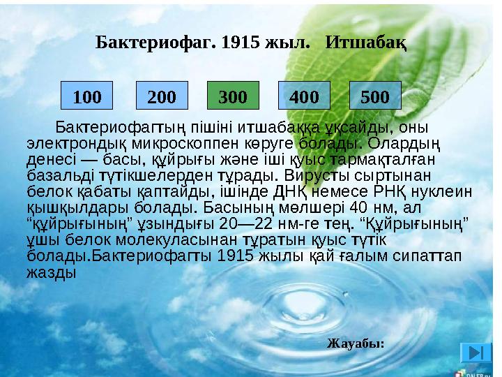 200 400 500 100 300 Бактериофагтың пішіні итшабаққа ұқсайды, оны электрондық микроскоппен көруге болады. Олардың де