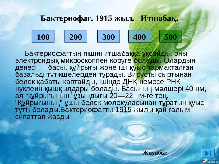200 300 400 100 500 Бактериофагтың пішіні итшабаққа ұқсайды, оны электрондық микроскоппен көруге болады. Олардың ден