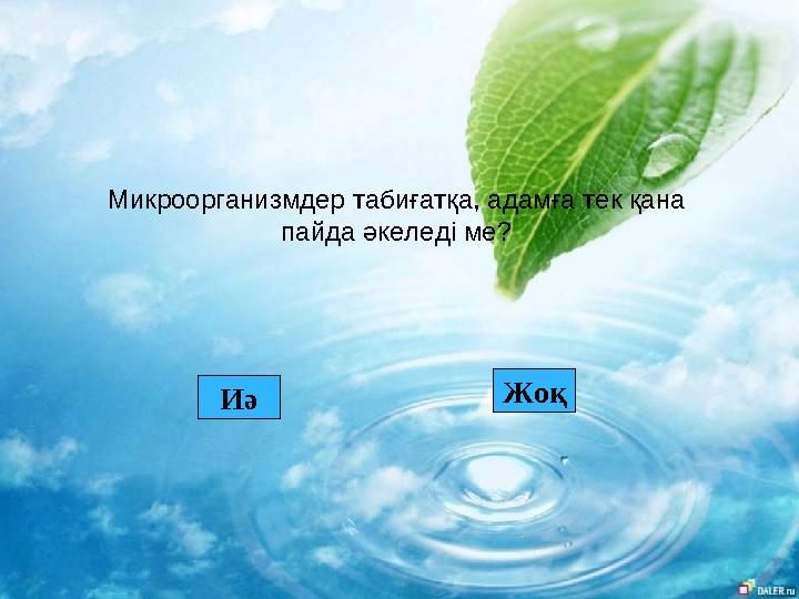 Микроорганизмдер табиғатқа, адамға тек қана пайда әкеледі ме? Иә Жоқ