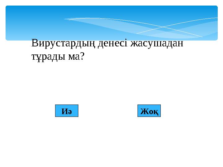 Иә Жоқ Вирустардың денесі жасушадан тұрады ма?