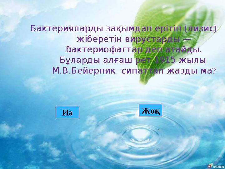 Бактерияларды зақымдап ерітіп (лизис) жіберетін вирустарды — бактериофагтар деп атайды. Бұларды алғаш рет 1915 жылы М.В.Бе