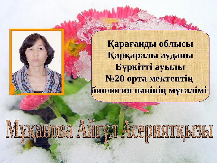 Шұлық киген жалаңаш қыздардың фотосуреттерінің жинағы