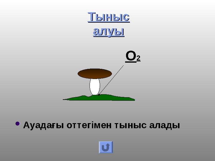 Тыныс Тыныс алуыалуы Ауадағы оттегімен тыныс алады О2