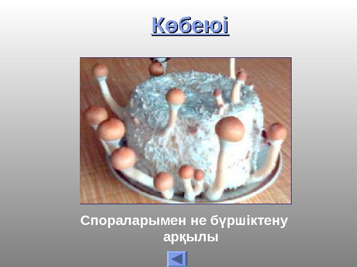 КөбеюіКөбеюі Спораларымен не бүршіктену арқылы