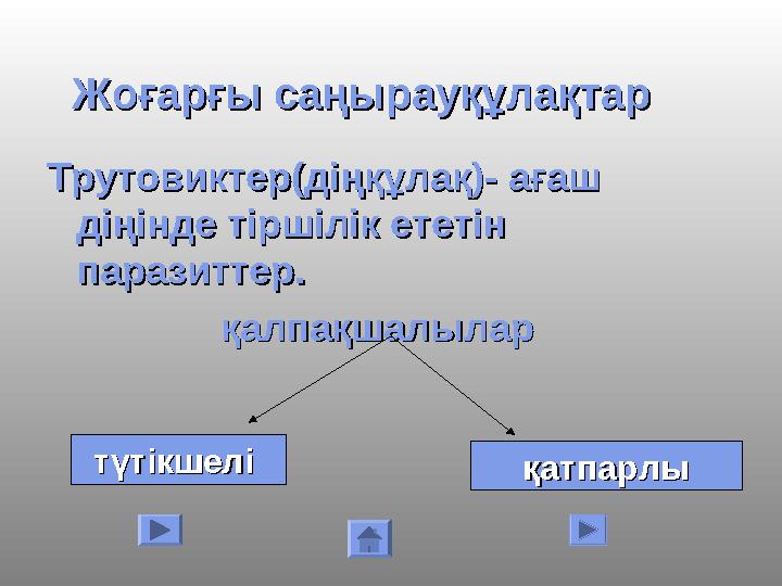 Жоғарғы саңырауқұлақтарЖоғарғы саңырауқұлақтар Трутовиктер(діңқұлақ)- ағаш Трутовиктер(діңқұлақ)- ағаш діңінде тіршілік ететін