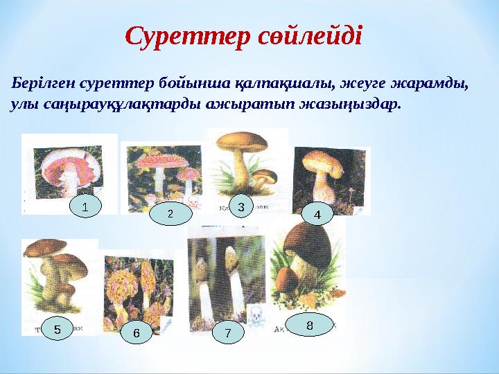 Суреттер сөйлейді Берілген суреттер бойынша қалпақшалы, жеуге жарамды, улы саңырауқұлақтарды ажыратып жазыңыздар. 1 4 3