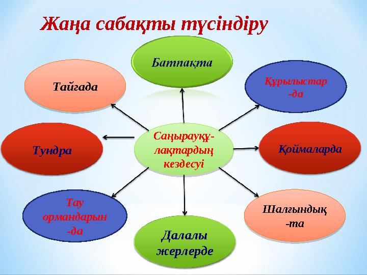 Жаңа сабақты түсіндіру Далалы жерлерде Тау ормандарын -даШалғындық -та Шалғындық -та Тундра Қоймаларда Құрылыстар -даТайгада