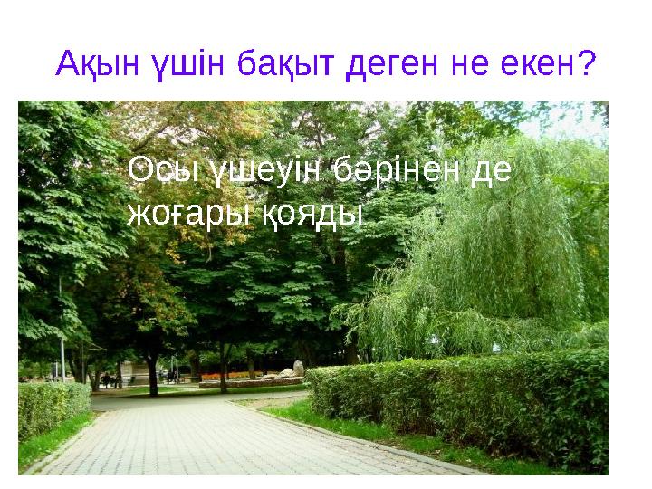 Ақын үшін бақыт деген не екен? Осы үшеуін бәрінен де жоғары қояды.