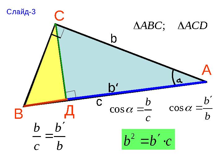 А С В Д Слайд-3 ACDABC ; b b cos c b cos b с ﻪ b‘ b b c b  cbb  2