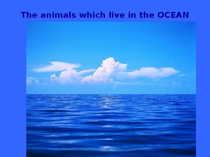 The animals which live in the OCEAN