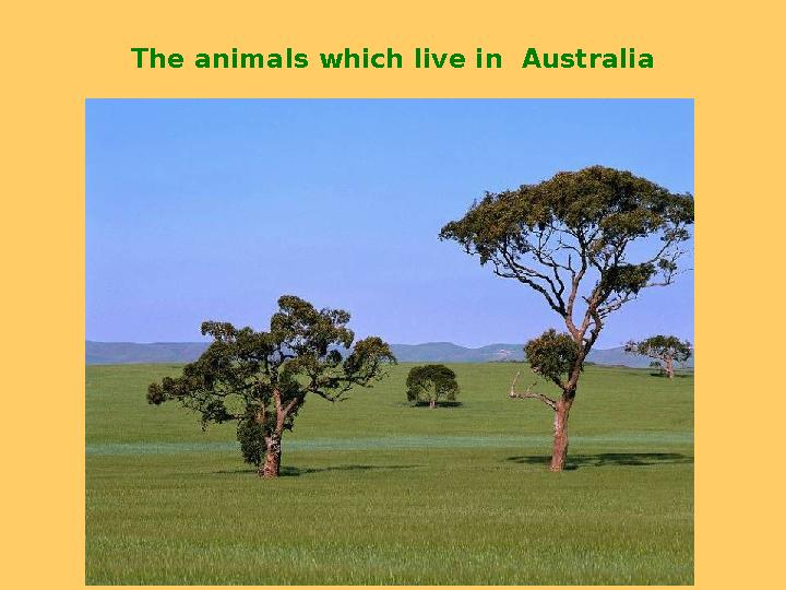 The animals which live in Australia