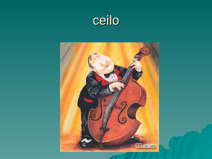 ceiloceilo