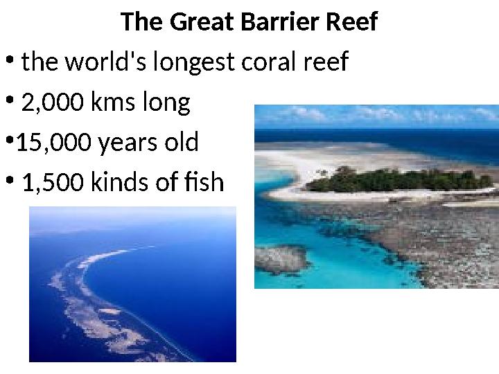 The Great Barrier Reef • the world's longest coral reef • 2,000 kms long •15,000 years old • 1,500 kinds of fish