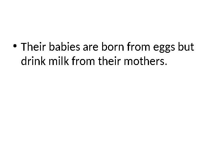 •Their babies are born from eggs but drink milk from their mothers.