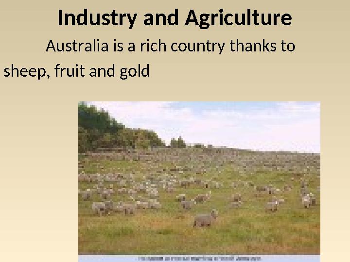 Industry and Agriculture Australia is a rich country thanks to sheep, fruit and gold