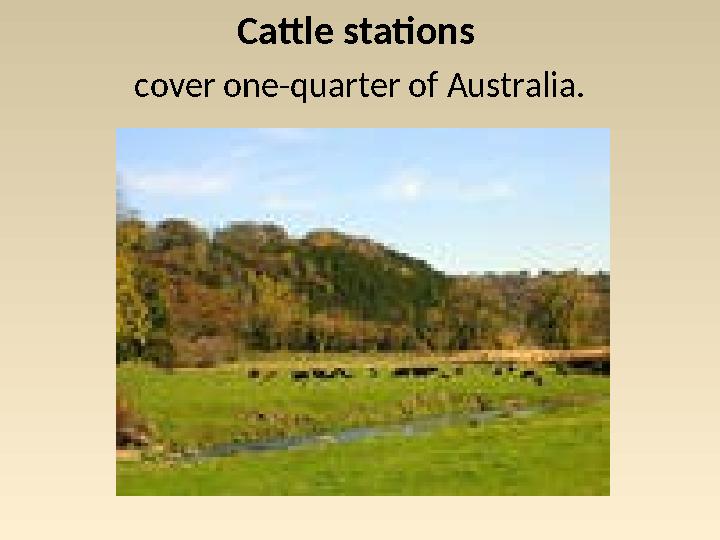Cattle stations cover one-quarter of Australia.