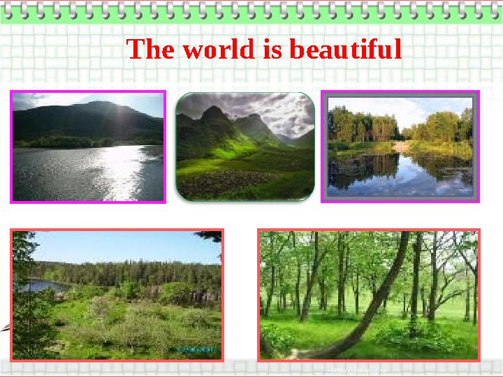 The world is beautiful