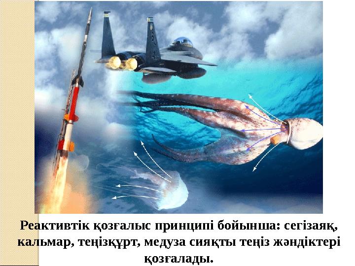 Реактивтік қозғалыс принципі бойынша: сегізаяқ, кальмар, теңізқұрт, медуза сияқты теңіз жәндіктері қозғалады.
