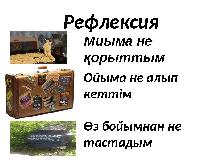 Рефлексия Миыма не қорыттым Ойыма не алып кеттім Өз бойымнан не тастадым