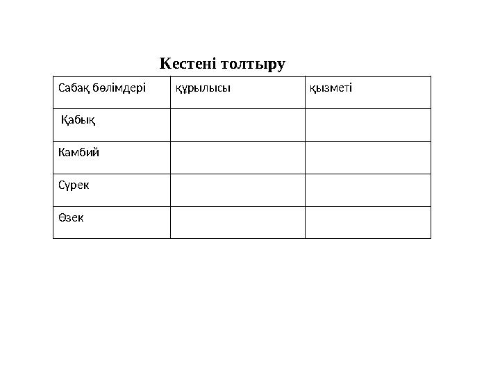 Сабақ бөлімдеріқұрылысы қызметі Қабық Камбий Сүрек Өзек Кестені толтыру