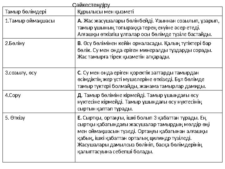 Тамыр бөлімдері Құрылысы мен қызметі 1.Тамыр оймақшасы А. Жас жасушалары бөлінбейді. Ұзыннан созылып, ұзарып, тамыр ұшының топы