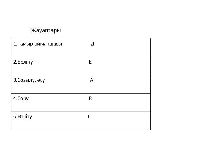 1.Тамыр оймақшасы Д 2.Бөліну Е 3.Созылу, өсу