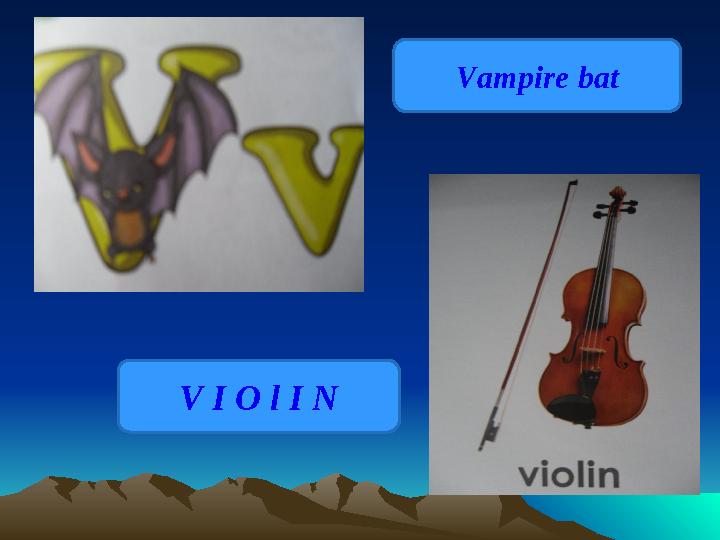 Vampire bat V I O l I N