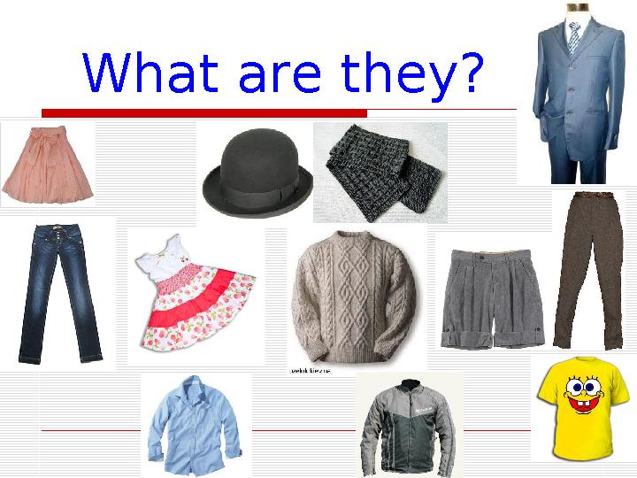 What are they?