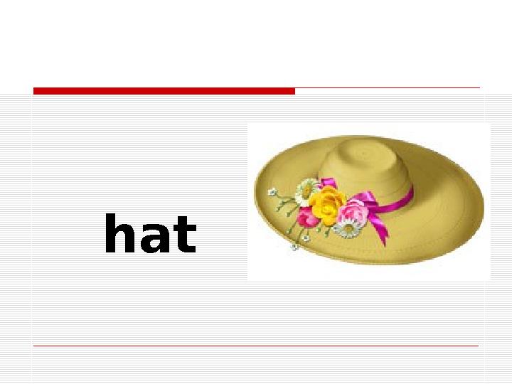 hat