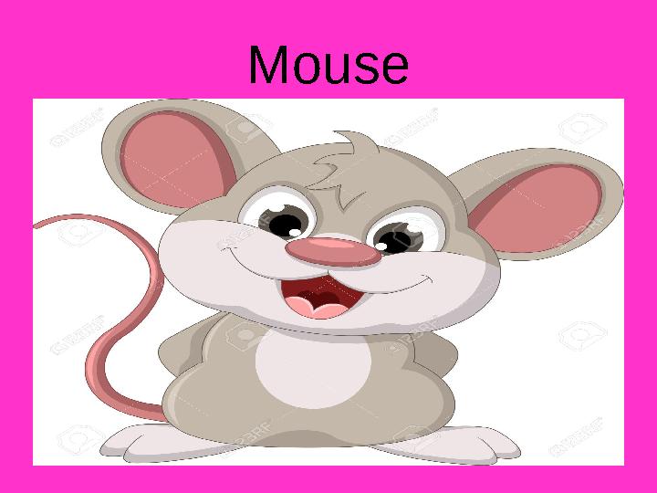 Mouse