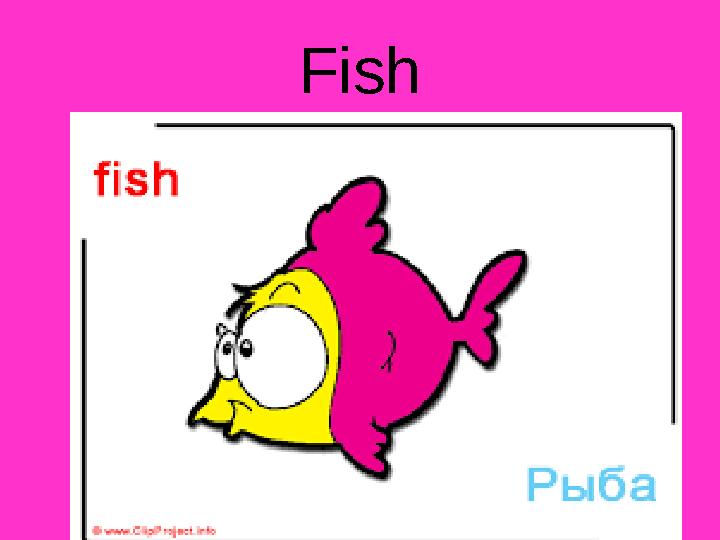 Fish